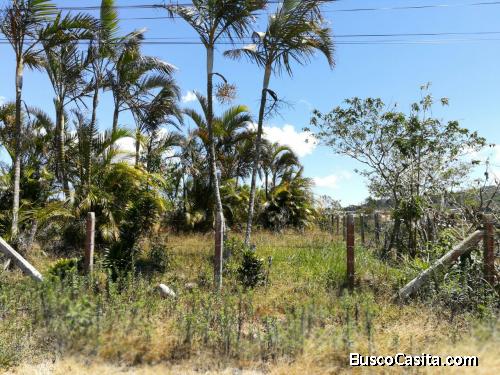 Venta Terreno 1914Mt²