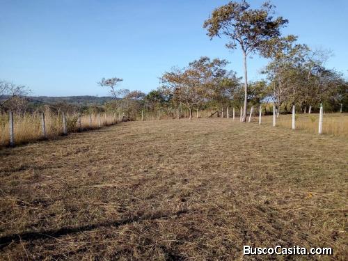Se vende lote en Orotina. La Trinidad
