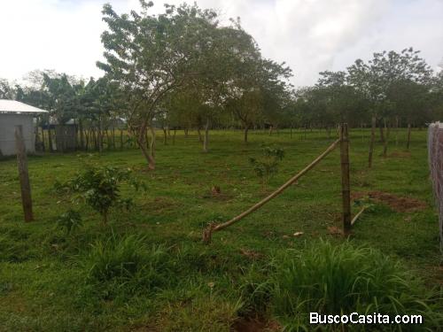 Buen lote en Chilamate de Sarapiquí de Heredia