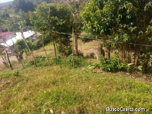 Buen lote grande en Chilamate, Sarapiquí, Heredia, Costa Rica