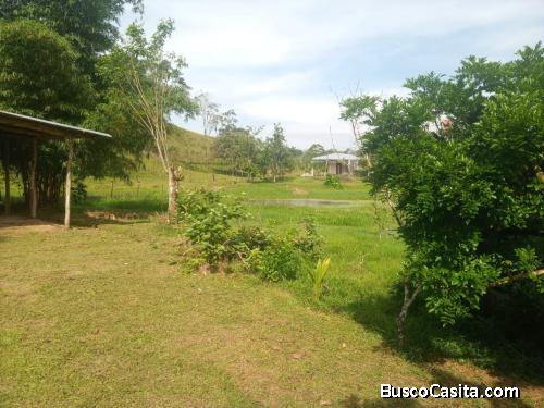 Lote multifuncional en Chilamate, Sarapiquí, Heredia, Costa Rica
