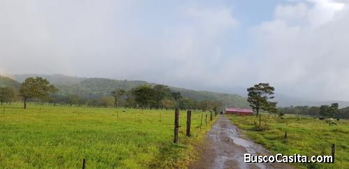 VENDO LECHERIA EN RIO NARANJO sobre ruta nacional Cañas-Upala.