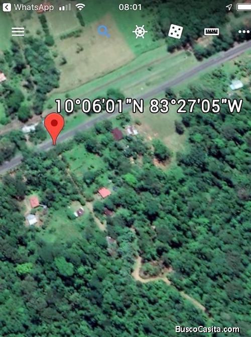 SE VENDE FINCA EN  *FREEHOLD, PACUARITO, SIQUIRRES, LIMON*