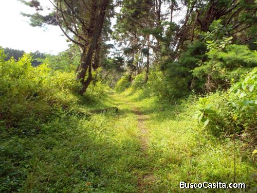 SE VENDE finca en calle Chávez, Concepción San RAFAEL, HEREDIA           3 pajas de agua