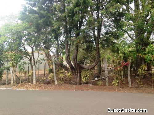 Vendo Lotes en Calle Los Cipreses, Concepción de San Rafael, Heredia.  Calle Los Cipreses,