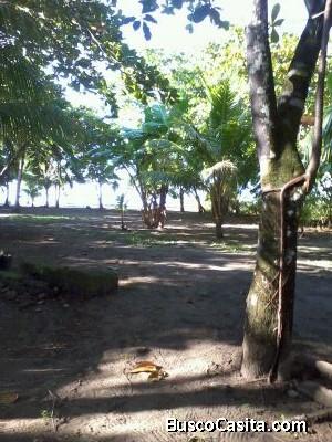  Playa Matapalo (Aguirre Puntarenas)