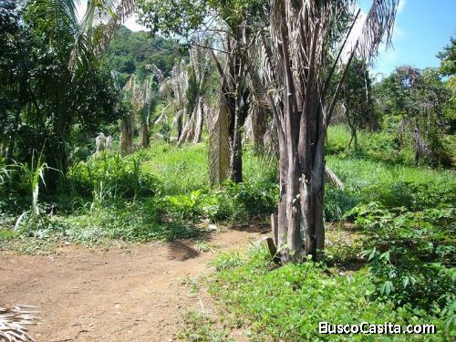 oportunidad en propiedad en venta playa Hermosa, Puntarenas, Costa Rica