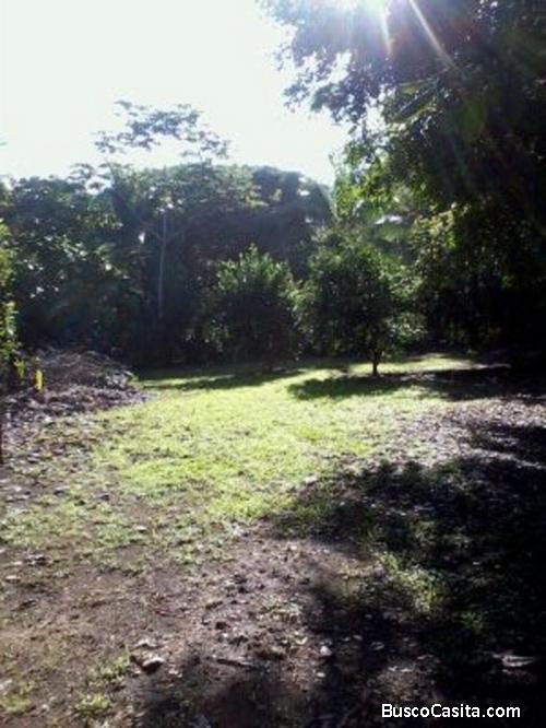 Finca en Playa Matapalo (Aguirre Puntarenas, CR) 