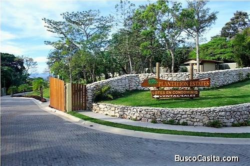 Se Vende Lote en Condominio PLANTATION ESTATES, El Rosario de Naranjo