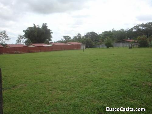 TERRENO EN VENTA MLS #20-187 FG