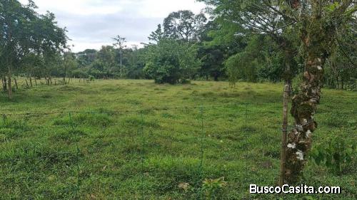 Terreno en Venta MLS #21-1665 FG