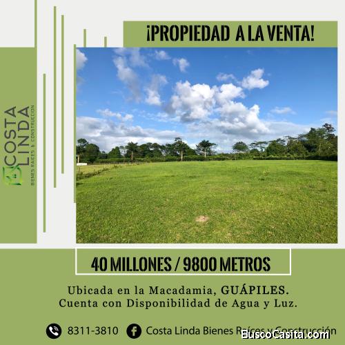 Se vende Quinta 