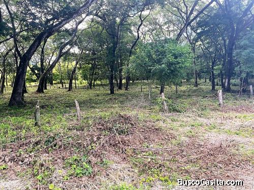 Se vende LOTE EN SAN JUAN DE MANSION, NICOYA, GUANACASTE