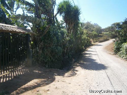 Venta Terreno 10000 m2