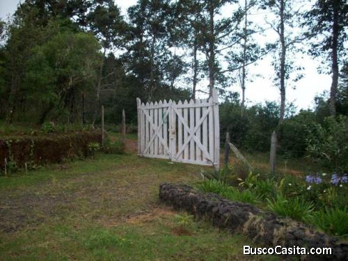 Hermoso terreno a la venta.