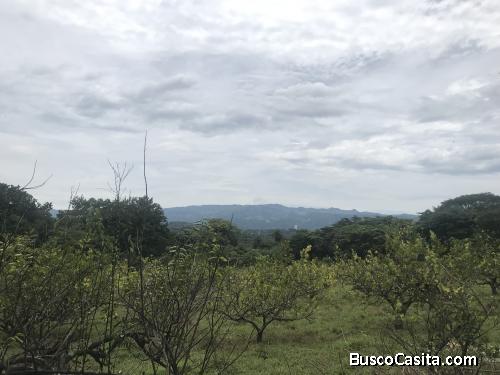 Se vende lote de 14.000 m2 en Cebadilla, Alajuela. 