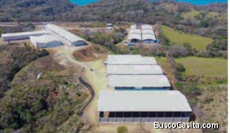 Bodegas de Refrigeración en Caldera- Puntarenas en Alquiler  