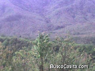 Vendo finca 52 hectáreas en hojancha de nicoya  5 nacientes vista a 5 playas plano escritura 