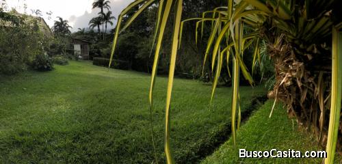 terrenos en Palmares 