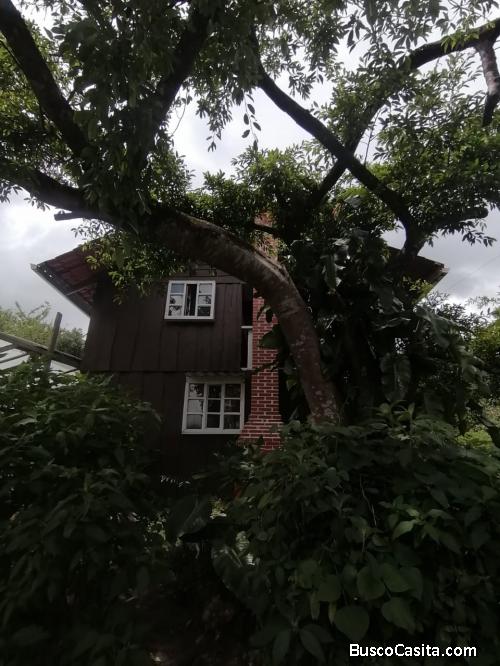 Se vende hermosa cabaña