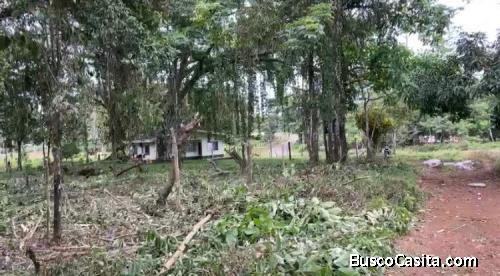 VENTA DE LOTE EN CAÑO NEGRO