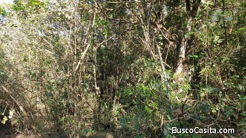 Terreno en venta