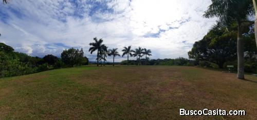 FINCA DE 14 HECTAREAS CON ARBOLES DE LIMON Y MANGO DE EXPORTACION