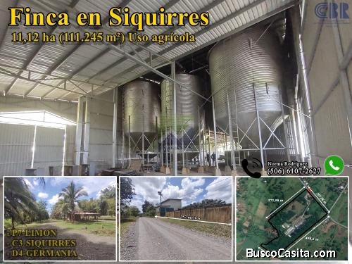 Finca en La Germania, Siquirres, Limón. RONO