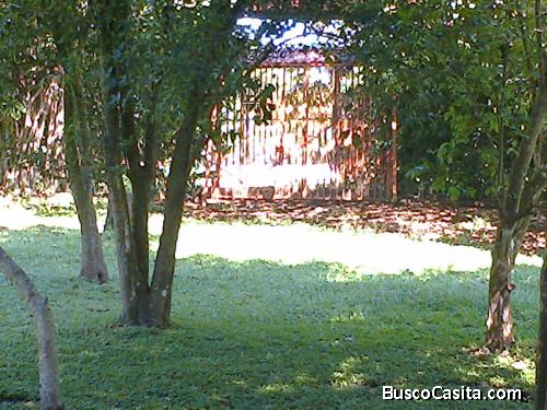 Vendo Terreno en Orotina 6000Mts 2 