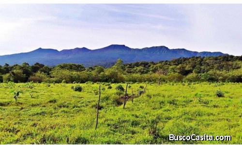 Venta finca cerca de Upala de Alajuela 
