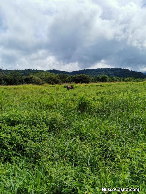 Se vende finca ganadera en guanacaste