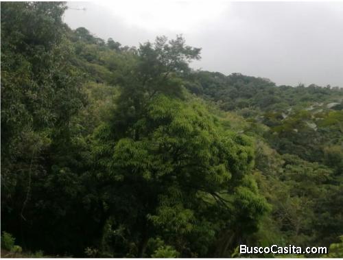 V#561 Hermosa Finca en Venta en Tacanis/Guanacaste.