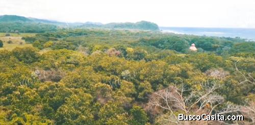 V#527 Increíbles Terrenos en Venta en Playa Buena Vista/Guanacaste.