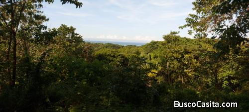 V#525 Increíble Terreno en Venta en San Juanillo/Guanacaste.