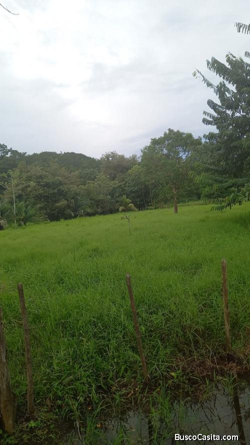V#503 Gran Terreno en Venta en Nandayure/Guanacaste.
