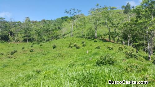 V#450 Amplia Finca de Venta en Nandayure/ Guanacaste.