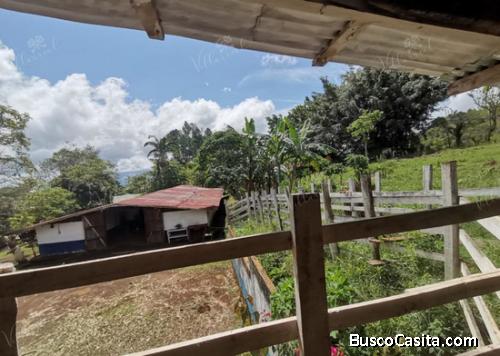 V#658 GRANDIOSA FINCA EN VENTA EN BAJO BURGOS, PURISCAL.