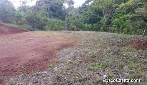 V#421 Còmodo Lote de Venta en Guanacaste/Nandayure