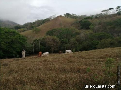 V#412 Amplia Finca de Venta en Guanacaste 