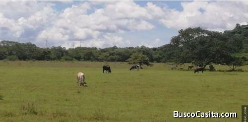 V#409 Terrenos de Venta en Guanacaste