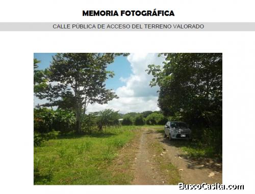 Propiedad en Agujas Puerto Jiménez