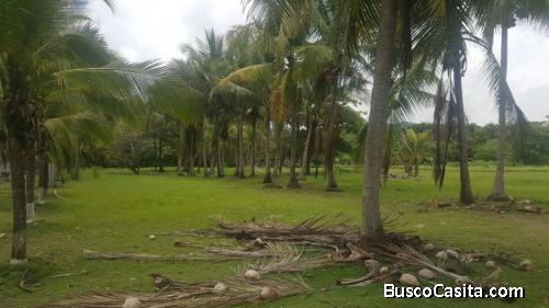 V#683 Terreno en Venta en Playa Coyote Costa de Oro/Guanacaste.