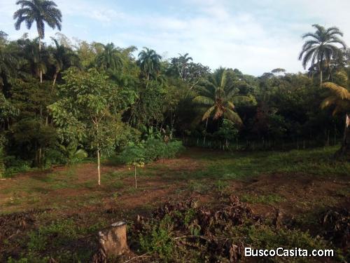 V#57 Espectacular lote en venta/ Pérez Zeledón
