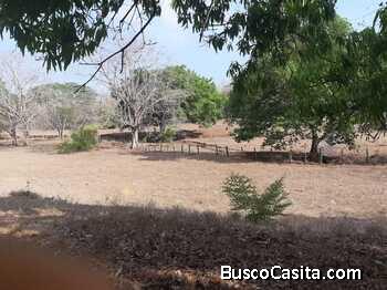 V#688 FINCA EN VENTA EN BEJUCO, NANDAYURE.