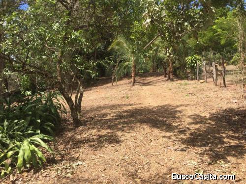 V#690 LOTE EN VENTA EN SAN MATEO, ALAJUELA.
