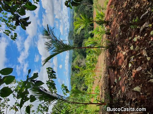 Terreno montañoso cerca de Playa Bejuco para cultivar y descansar.
