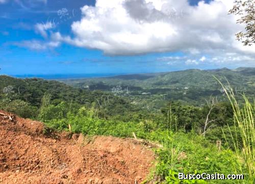 V#540 Precioso Terreno en Venta en La Mencha/Puntarenas.