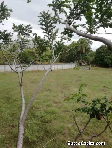 V#469 Gran Terreno en Venta en Filadelfia