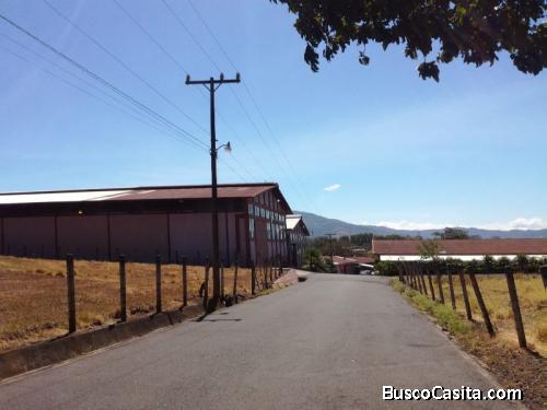 Propiedad comercial con bodegas, El Roble de Alajuela 3.6 hectareas