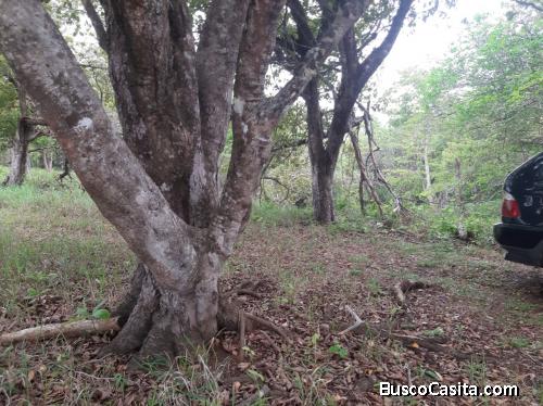 V#684 Finca en Venta en San Juanillo, Guanacaste.